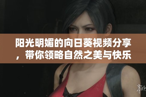 阳光明媚的向日葵视频分享，带你领略自然之美与快乐