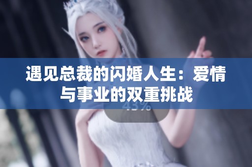 遇见总裁的闪婚人生：爱情与事业的双重挑战