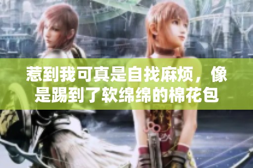 惹到我可真是自找麻烦，像是踢到了软绵绵的棉花包