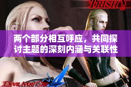 两个部分相互呼应，共同探讨主题的深刻内涵与关联性