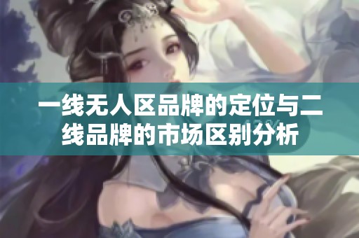 一线无人区品牌的定位与二线品牌的市场区别分析