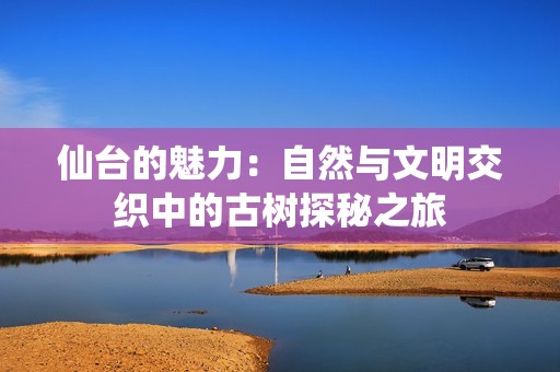 仙台的魅力：自然与文明交织中的古树探秘之旅