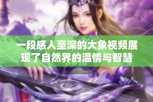 一段感人至深的大象视频展现了自然界的温情与智慧