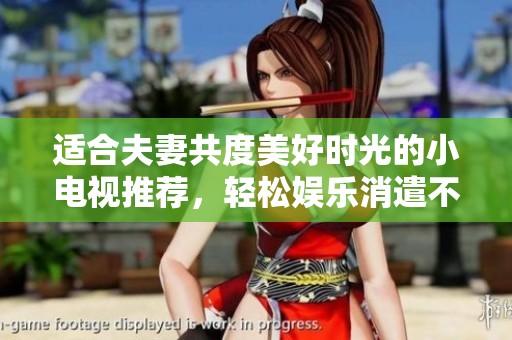 适合夫妻共度美好时光的小电视推荐，轻松娱乐消遣不容错过