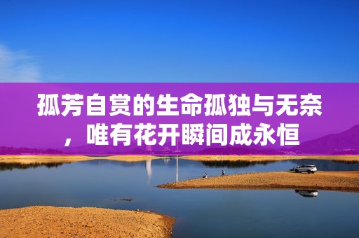 孤芳自赏的生命孤独与无奈，唯有花开瞬间成永恒