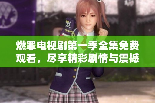 燃罪电视剧第一季全集免费观看，尽享精彩剧情与震撼故事