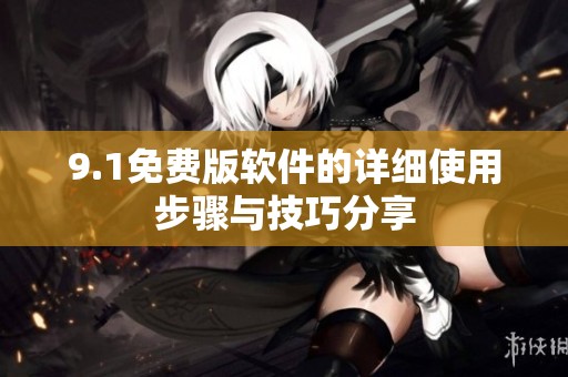 9.1免费版软件的详细使用步骤与技巧分享