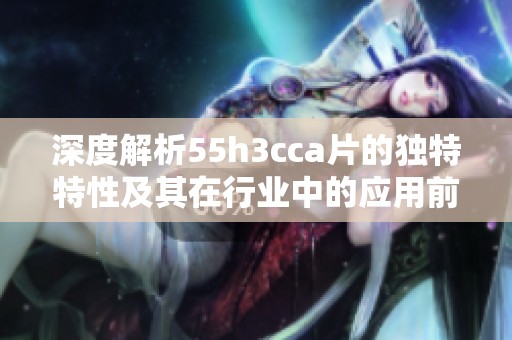 深度解析55h3cca片的独特特性及其在行业中的应用前景