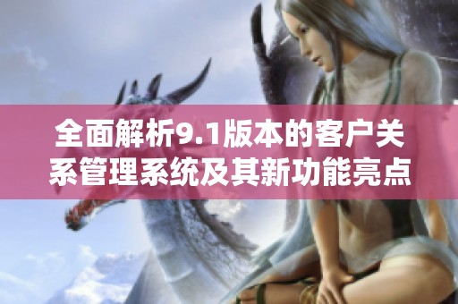 全面解析9.1版本的客户关系管理系统及其新功能亮点