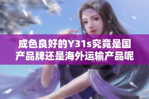 成色良好的Y31s究竟是国产品牌还是海外运输产品呢
