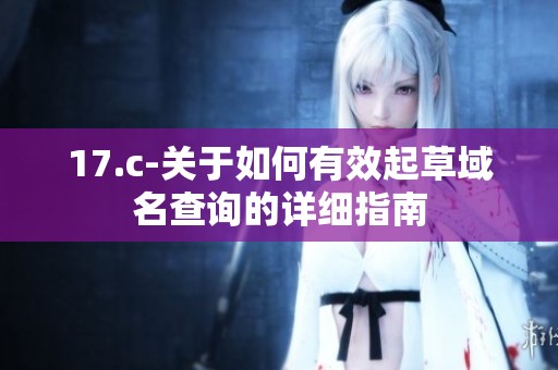 17.c-关于如何有效起草域名查询的详细指南