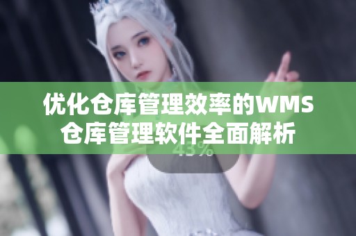 优化仓库管理效率的WMS仓库管理软件全面解析