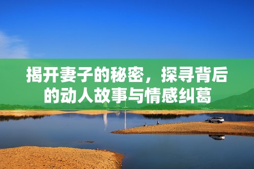 揭开妻子的秘密，探寻背后的动人故事与情感纠葛