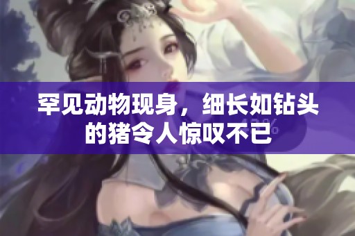罕见动物现身，细长如钻头的猪令人惊叹不已