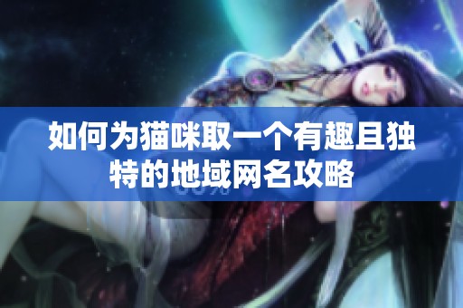 如何为猫咪取一个有趣且独特的地域网名攻略