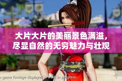 大片大片的美丽景色满溢，尽显自然的无穷魅力与壮观