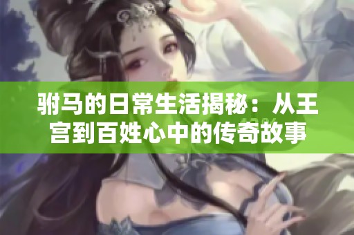 驸马的日常生活揭秘：从王宫到百姓心中的传奇故事