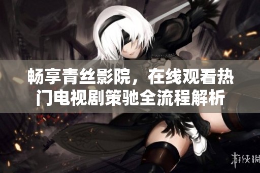 畅享青丝影院，在线观看热门电视剧策驰全流程解析