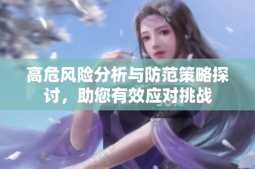 高危风险分析与防范策略探讨，助您有效应对挑战