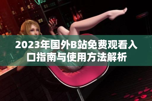 2023年国外B站免费观看入口指南与使用方法解析