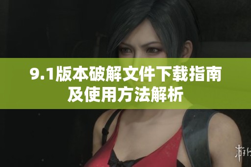 9.1版本破解文件下载指南及使用方法解析