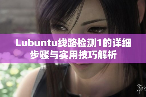Lubuntu线路检测1的详细步骤与实用技巧解析