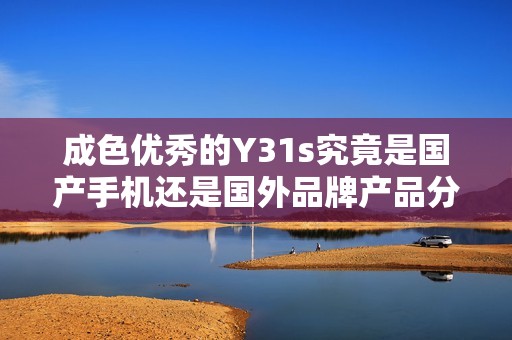 成色优秀的Y31s究竟是国产手机还是国外品牌产品分析