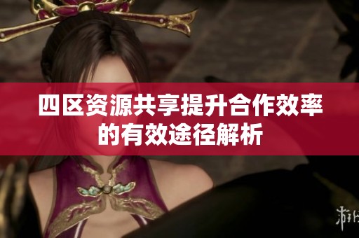 四区资源共享提升合作效率的有效途径解析