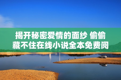 揭开秘密爱情的面纱 偷偷藏不住在线小说全本免费阅读