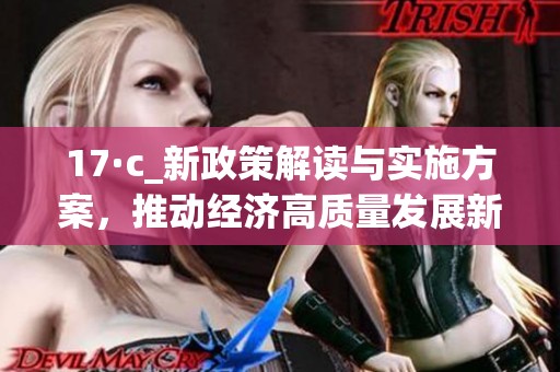 17·c_新政策解读与实施方案，推动经济高质量发展新篇章