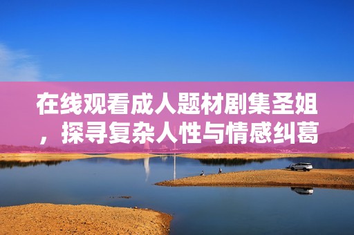 在线观看成人题材剧集圣姐，探寻复杂人性与情感纠葛