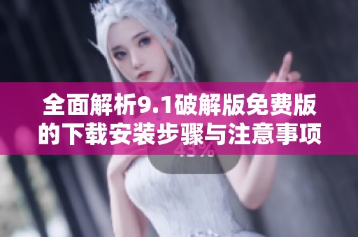 全面解析9.1破解版免费版的下载安装步骤与注意事项