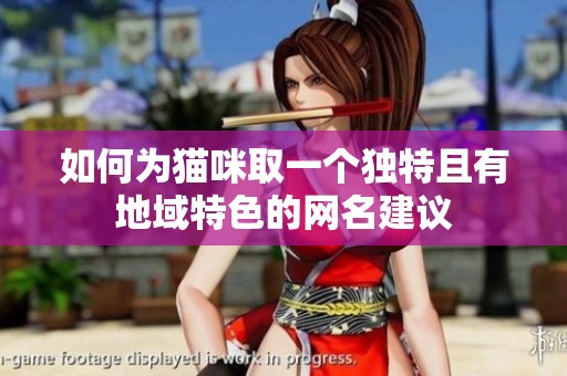 如何为猫咪取一个独特且有地域特色的网名建议