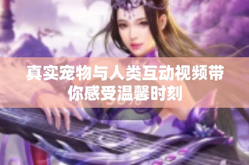 真实宠物与人类互动视频带你感受温馨时刻