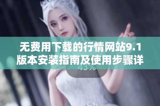 无费用下载的行情网站9.1版本安装指南及使用步骤详解