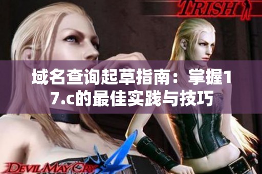 域名查询起草指南：掌握17.c的最佳实践与技巧