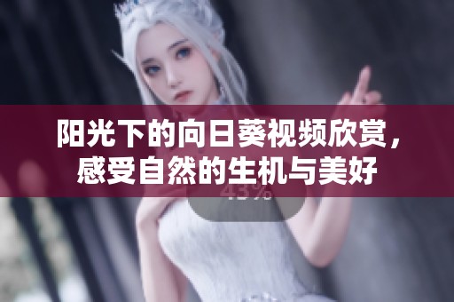 阳光下的向日葵视频欣赏，感受自然的生机与美好