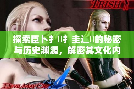探索臣卜扌喿扌圭辶畐的秘密与历史渊源，解密其文化内涵与影响力
