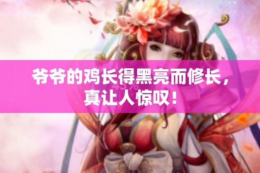 爷爷的鸡长得黑亮而修长，真让人惊叹！