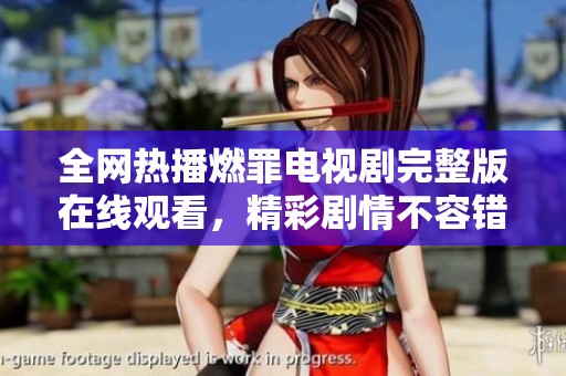 全网热播燃罪电视剧完整版在线观看，精彩剧情不容错过