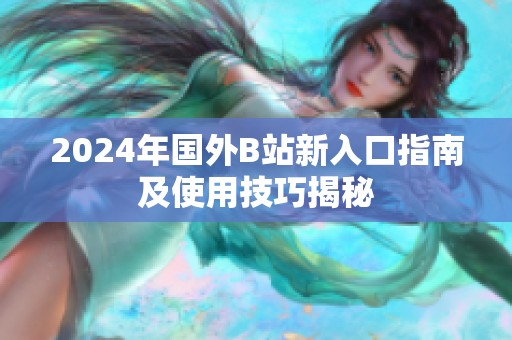 2024年国外B站新入口指南及使用技巧揭秘