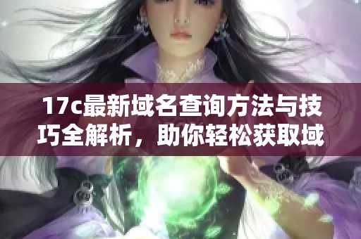 17c最新域名查询方法与技巧全解析，助你轻松获取域名信息