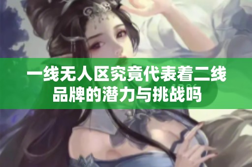 一线无人区究竟代表着二线品牌的潜力与挑战吗