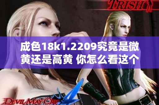 成色18k1.2209究竟是微黄还是高黄 你怎么看这个问题