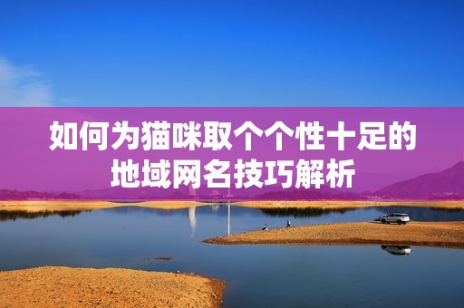 如何为猫咪取个个性十足的地域网名技巧解析
