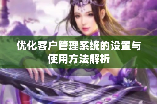 优化客户管理系统的设置与使用方法解析