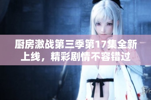 厨房激战第三季第17集全新上线，精彩剧情不容错过