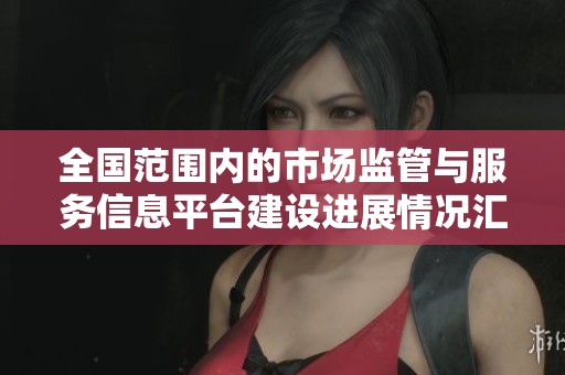 全国范围内的市场监管与服务信息平台建设进展情况汇总