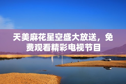天美麻花星空盛大放送，免费观看精彩电视节目