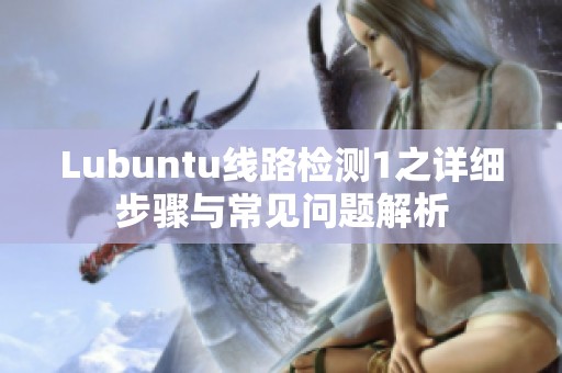 Lubuntu线路检测1之详细步骤与常见问题解析